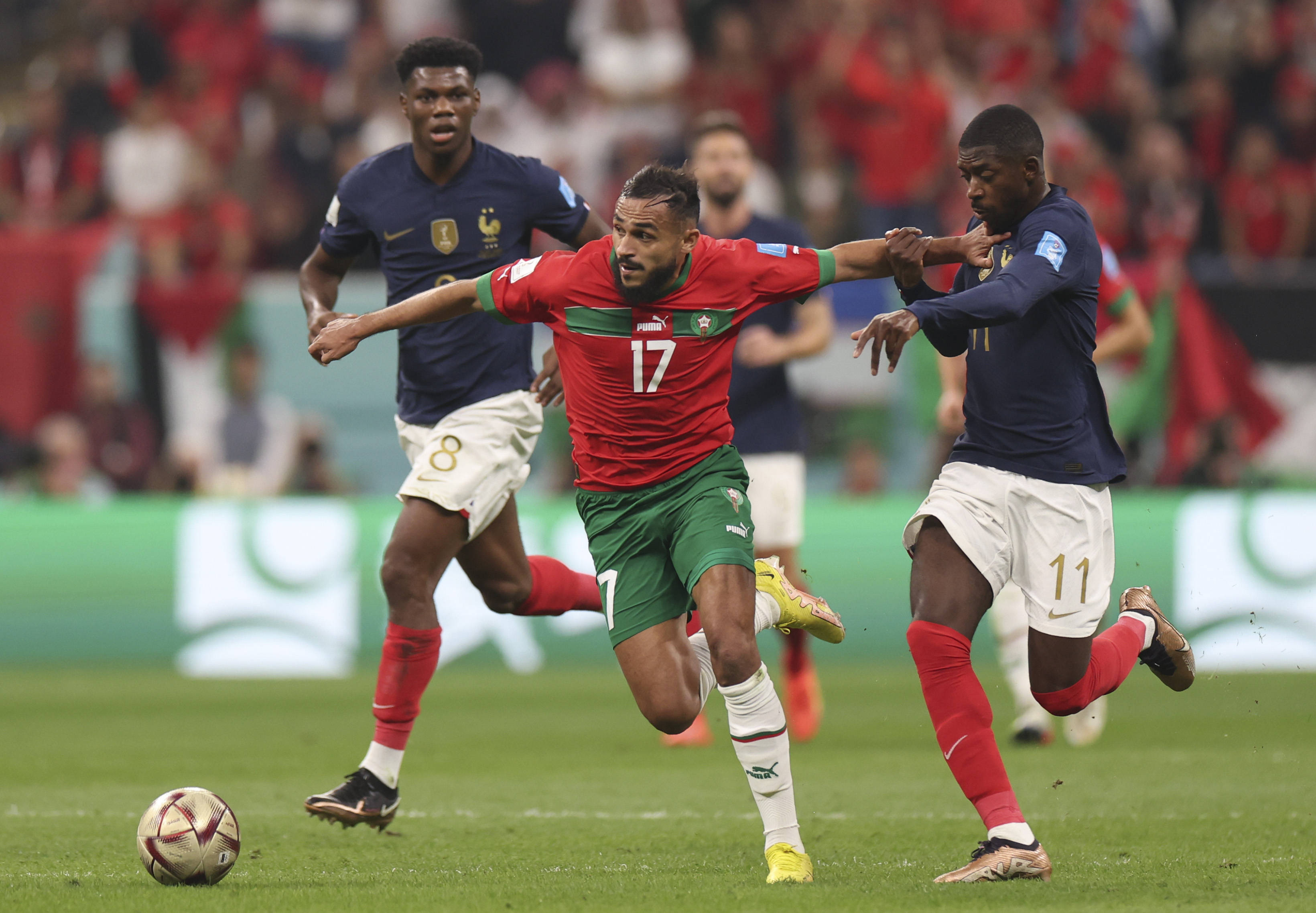 拉利的跨队 拉利的跨队