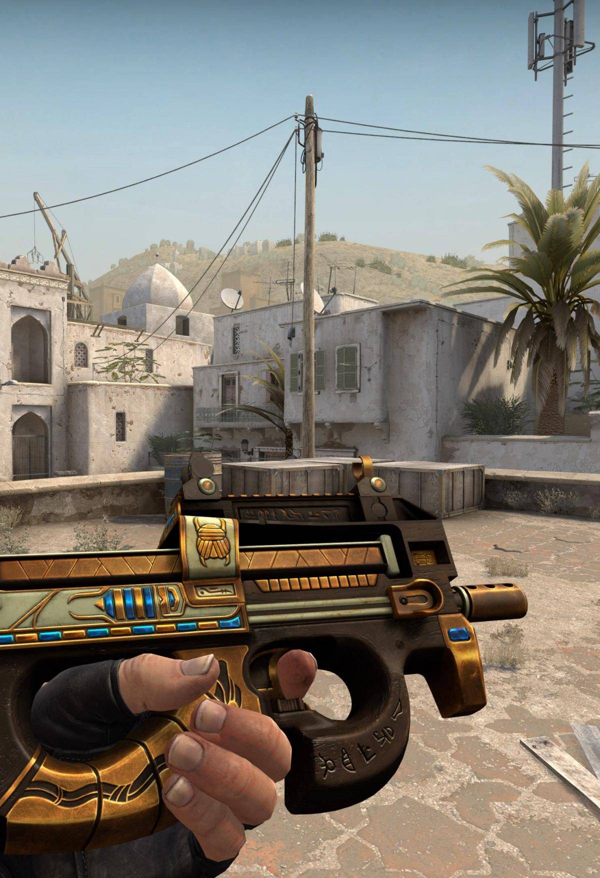 坚持自己的 坚持自己的